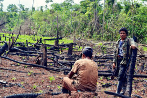 deforestation in nicaragua