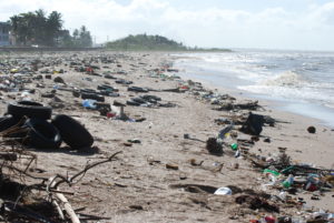 <p>Camada en la costa de guyana (imagen: <a href="https://en.wikipedia.org/wiki/Pollution#/media/File:Litter.JPG" target="_blank" rel="noopener">wikipedia</a>)</p>