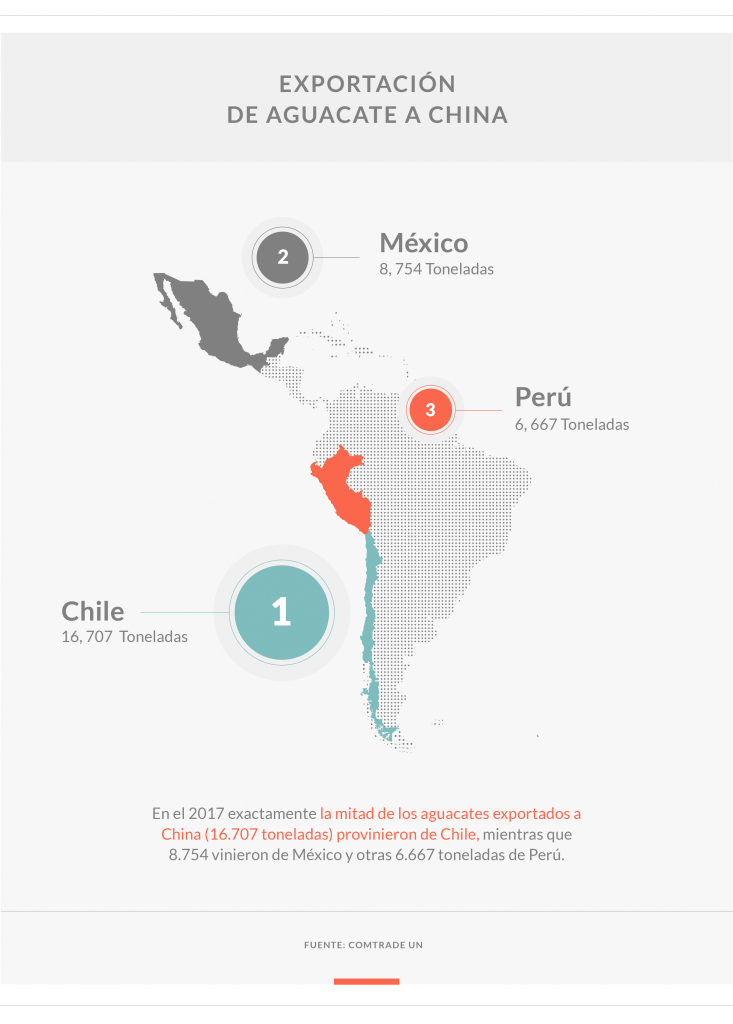 mapa de América latina con los países exportadores de aguacate a China, México, Perú y Chile, marcados en colores gris, rojo y celeste