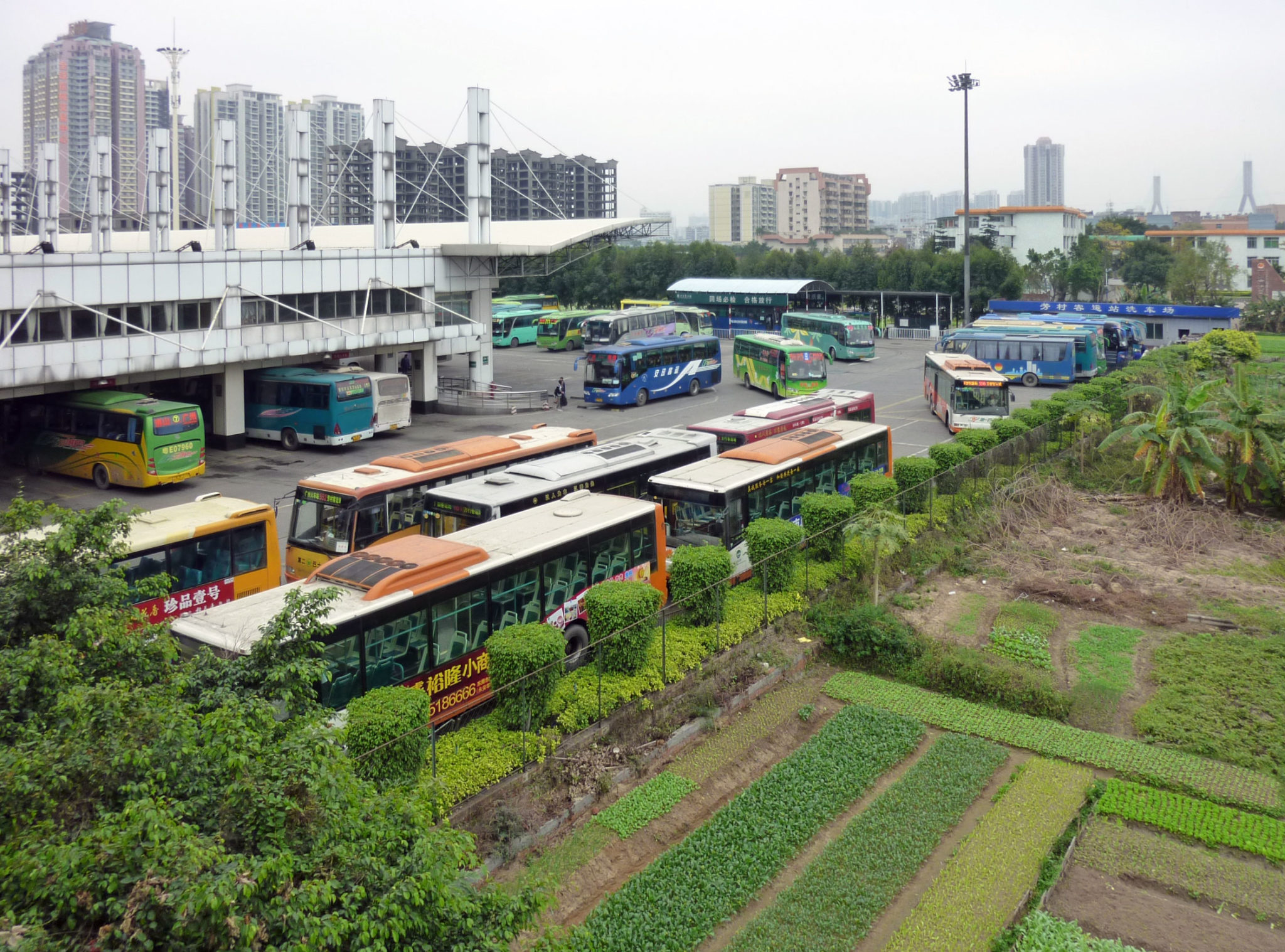 china urban farming