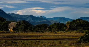 <p>El savana Sauri Wou Nawa, en el sur de Guiana (imagen: <a href="https://www.flickr.com/photos/cifor/37577952702">CIFOR</a>)</p>