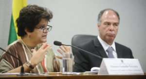 <p>Izabella Teixeira, Brazil&#8217;s former Environment Minister (image: <a href="https://commons.wikimedia.org/wiki/File:CMMC_-_Comiss%C3%A3o_Mista_Permanente_sobre_Mudan%C3%A7as_Clim%C3%A1ticas_(21678326230).jpg">CMCC</a>)</p>