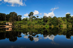 <p>Four new environment ministers have been appointed in the Amazonian countries (Photo: <a href="https://www.flickr.com/photos/cifor/35073229434/in/photolist-Vritbj-F9XAG3-23f1Lrd-8UFeTt-MmCBzd-NZSrYS-K3iPyf-21Vs5ia-22GrFwP-btmcvC-Vris9E-2LwRyx-QbF6s9-28S7B6E-2cvRHkT-XVAz4W-XJKBgL-DgezSV-XJKDUb-XJKfUU-DeQ1ue-2ceXf1h-XJMDWm-23DQNVv-pw2e5s-2avsLFT-fQhiAL-NMU3iy-fD4f5x-iYf6f-7einKg-btjtc7-2Lpbau-yg4Zmr-xYrPaC-PuduTZ-6PsPhq-2ceUsyQ-29yHB9j-P9Fa9V-P6t511-EyCKZz-EyCLkK-2aqxVRs-29GaBqi-PgaMSf-NwBSrw-P6t4HN-Nnp6qC-LJY52t%3C/a">CIFOR</a>)</p>