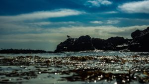 <p>Healthy oceans are one of the cheapest ways of capturing carbon. COP25 host Chile is calling the next climate summit the &#8216;blue COP&#8217; (image: <a href="https://www.pexels.com/pt-br/foto/agua-ao-ar-livre-ave-beira-mar-1298682/">Emiliano Arano</a>)</p>