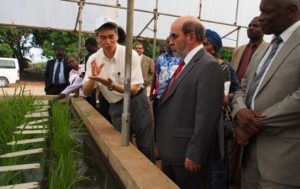 <p>José Graziano da Silva, diretor-general da FAO em fim de mandato, em um programa de cultivo de arroz no Benin (imagem: <a href="https://www.flickr.com/photos/africarice/10674028996/in/album-72157637311137413/">AfricaRice</a>)</p>