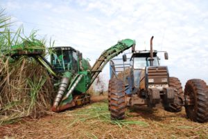 <p>Plantação de cana para produção de etanol em São Paulo: produção brasileira na safra 2018/2019 foi de mais de 30 milhões de toneladas. (Imagem: <a href="https://www.flickr.com/photos/energyclimatechange/3780196890/in/photolist-7YF4Gs-gb7jCe-7YEEaU-7YEYDb-27iiHTx-9PwbZ9-aKB2bZ-6L3uQs-bxWHPK-7YEBby-5mzutL-6L23R6-8aSGyV-8aVYBb-7YBKAT-8cdStV-8chdF9-8aVZdm-8cdRgZ-9Sg6mr-9Pwbpd-8aSG1e-8a1Hm5-sVs5n-89XssM-89Xtfn-8a1GeY-8NXdQa-8NXdHz-85DPgZ-4DHURX-8a1H2G-8a1H7j-8NXdne-2gcDBbd">Department of Energy and Climante Change</a>)</p>