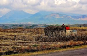 <p>In establishing diplomatic ties with China, El Salvador has jeopardised a free trade pact with Taiwan, angering sugar producers (image: Pixabay)</p>