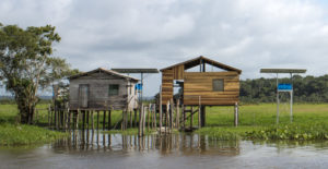 <p>Casas con paneles solares en la Reserva Extractiva Verde Para Siempre. (Imagen: Órigo Energia)</p>