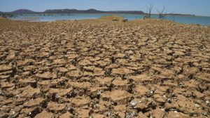 UN desertification COP Delhi drought Brazil