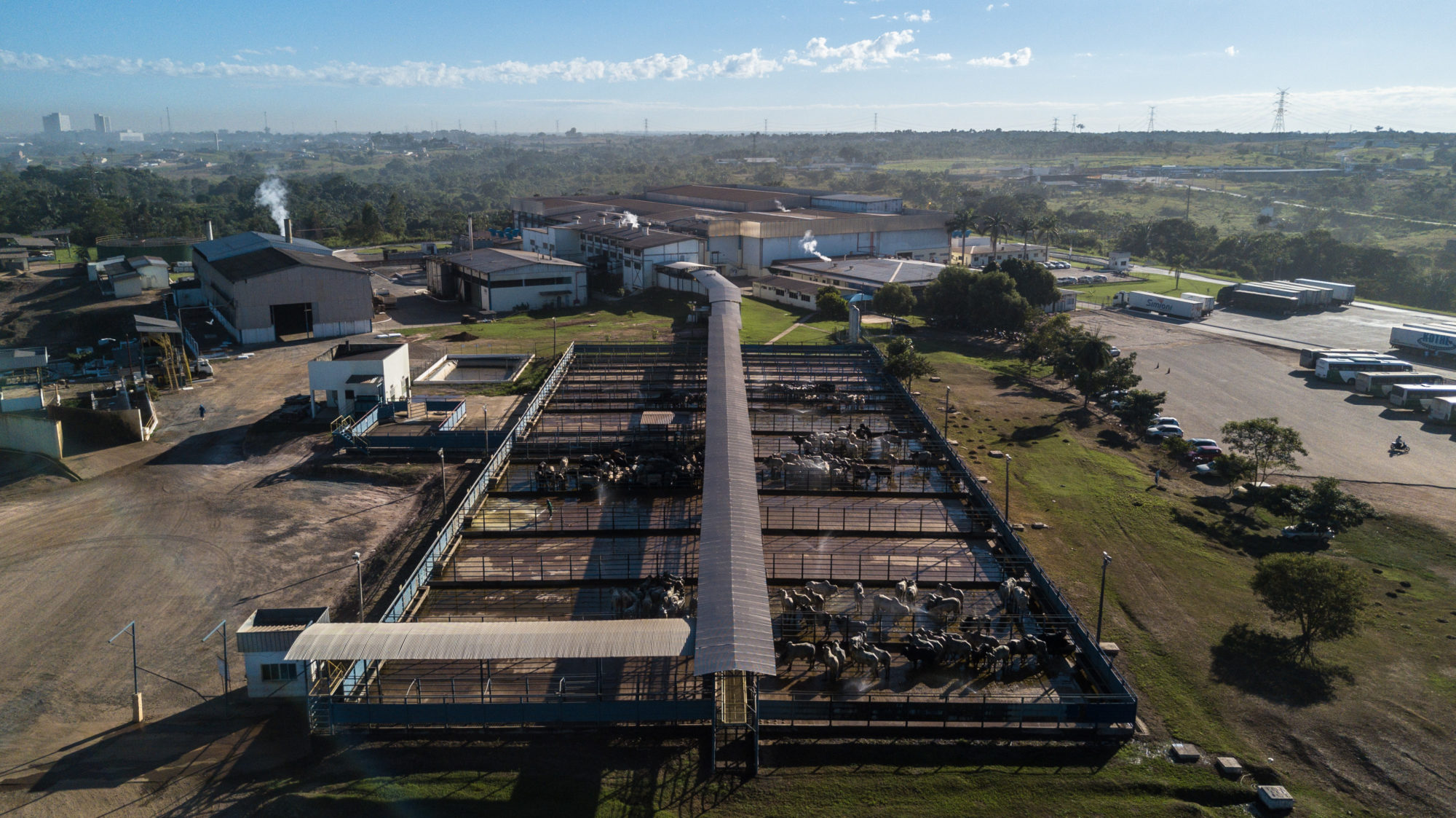 a cattle feedlot in the Amazon state of Rondônia