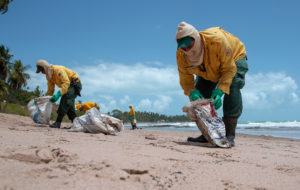 <p>Government employees clean oil from Japaratinga beach in Brazil’s Alagoas state (Image: Léo Malafaia/China Dialogue)</p>