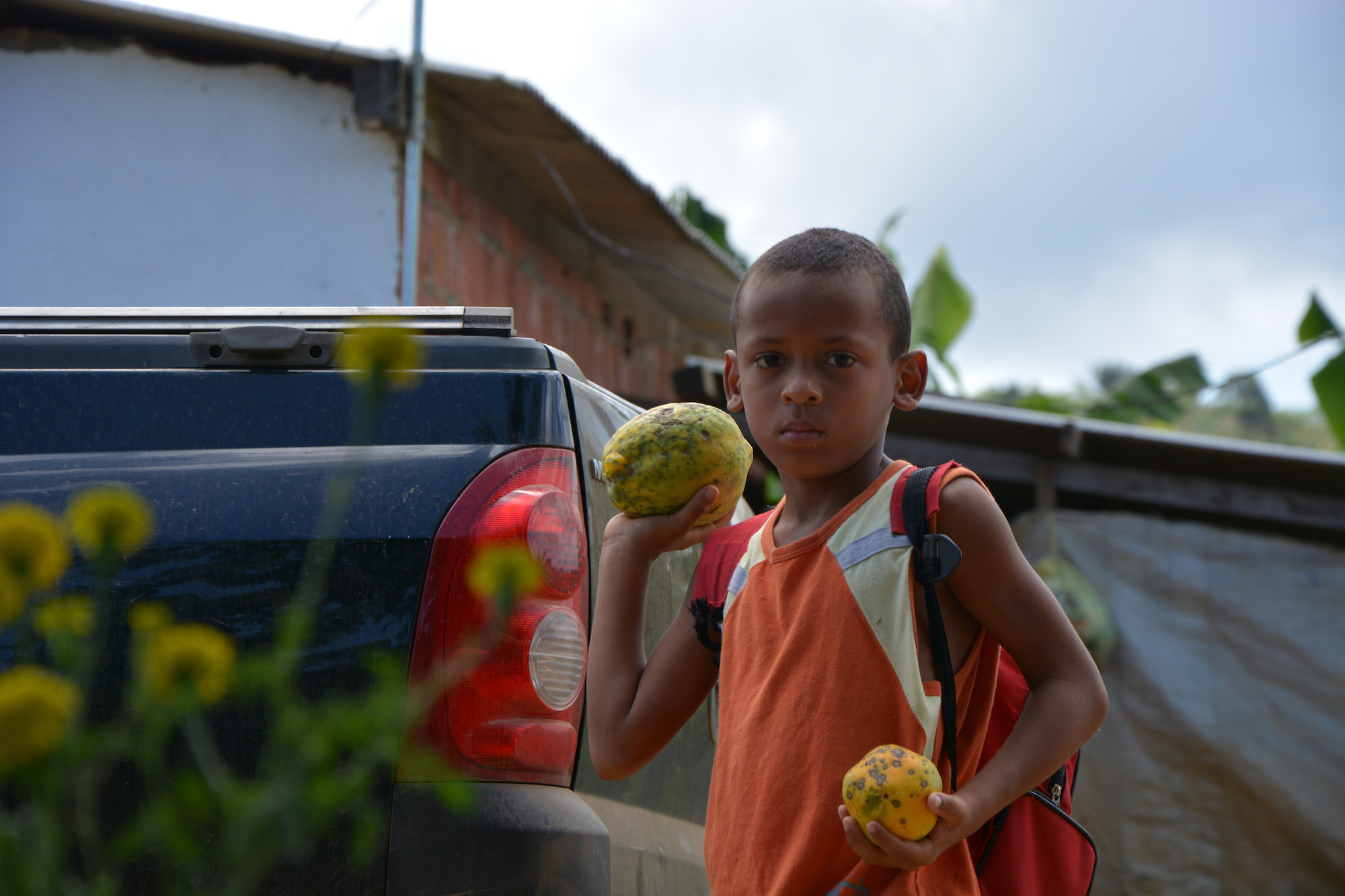 A boy from a traditional cacao farm near Lagoa Encantada holding a cacao fruit