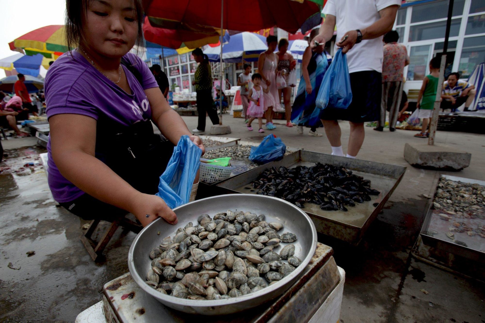Seafood for sale at a market in the Chinese city of Dalian