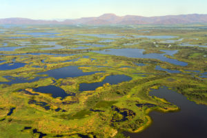 Aerial view of the Pantanal, the largest wetland in the world