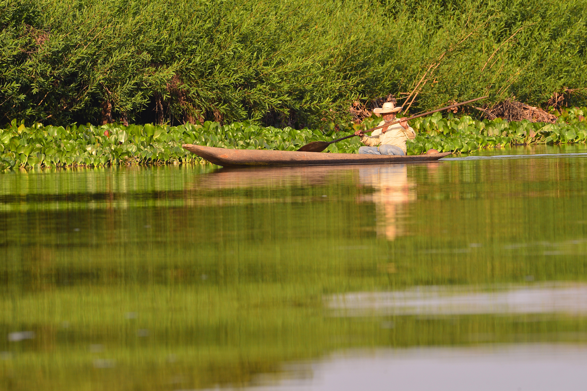 A traditional fisherman in a dugout canoe on the River Cuiaba in the Brazilian Pantanal.