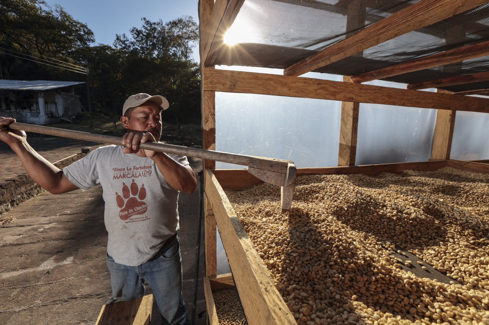 A farmer in Honduras dries coffee beans