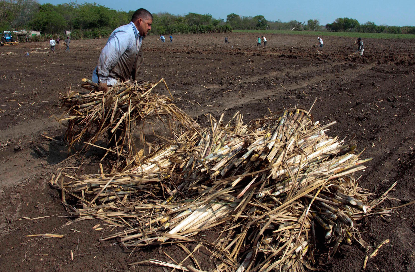 A worker at a sugar cane field in Tonacatepeque township, northwest of El Salvador's capital San Salvador
