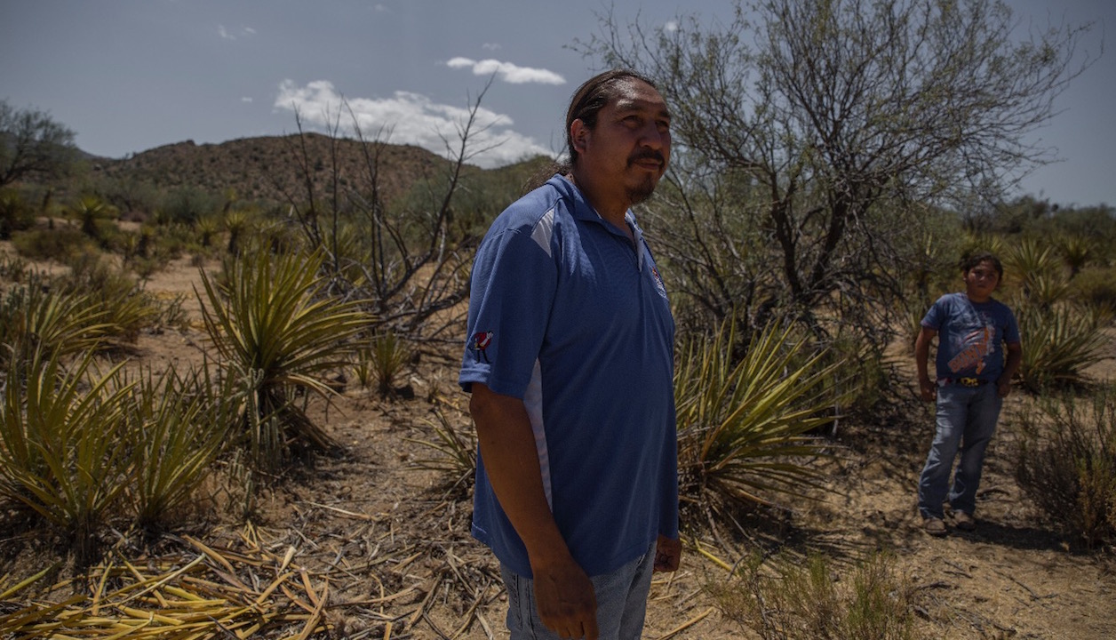 <p>Elías Espinoza laments the damage to the yucca plant caused by illegal cutting (image: Omar Martínez)</p>