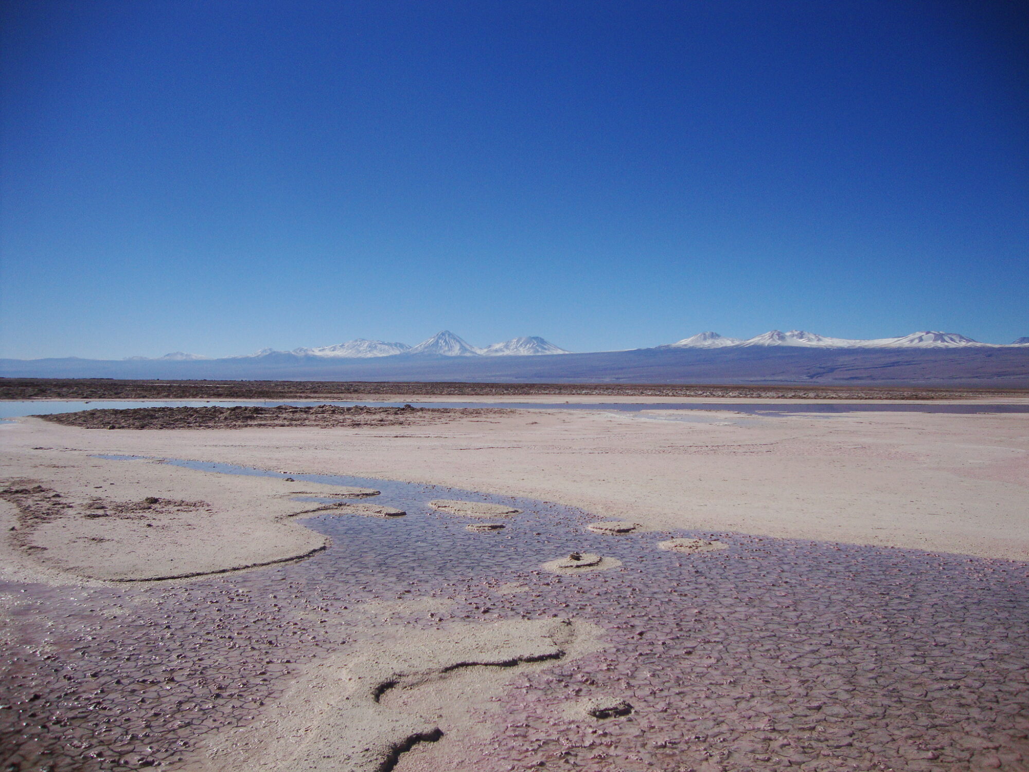 The Puilar lagoon in Chile's Atacama Desert