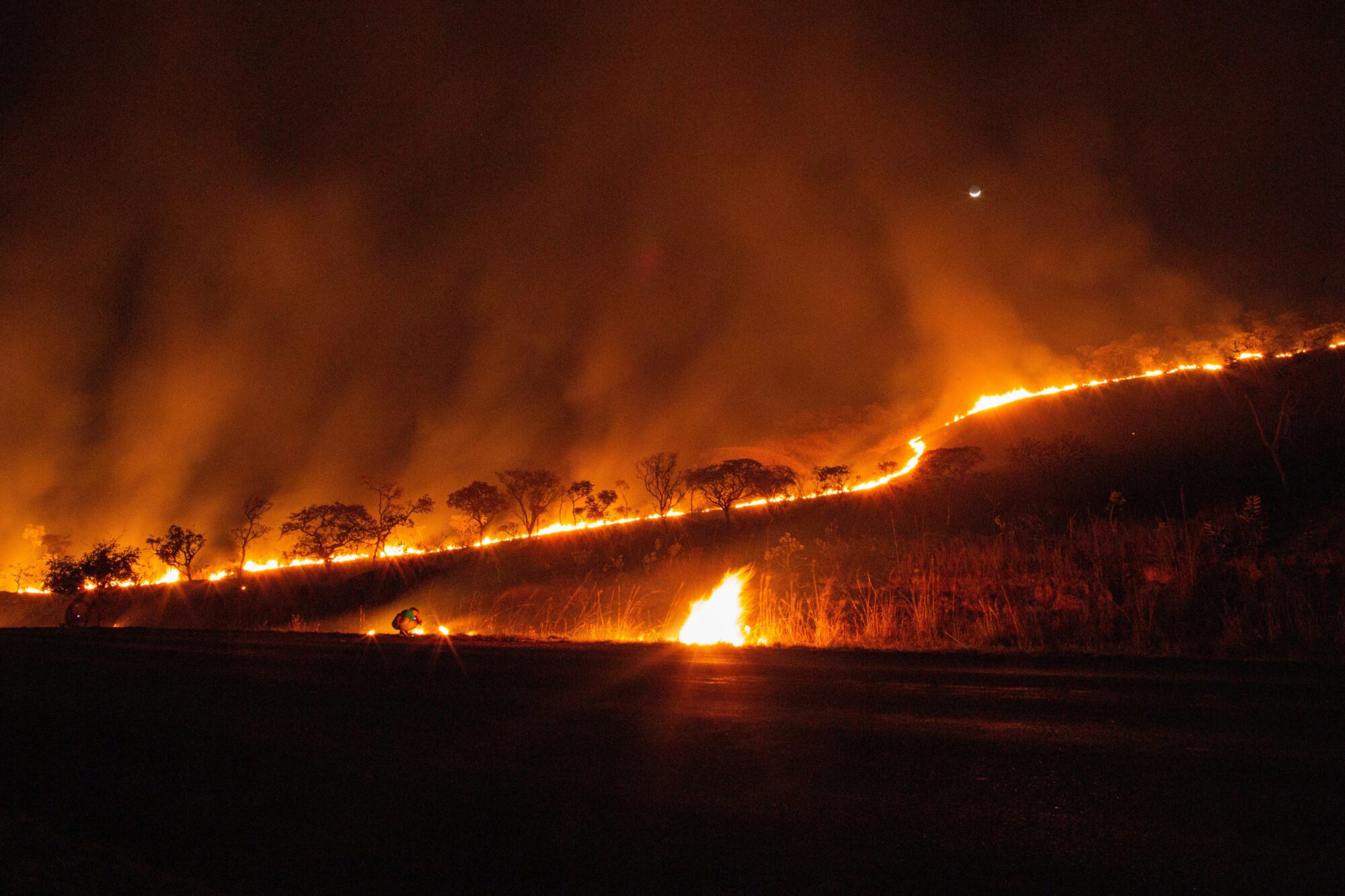 fires in the Pantanal