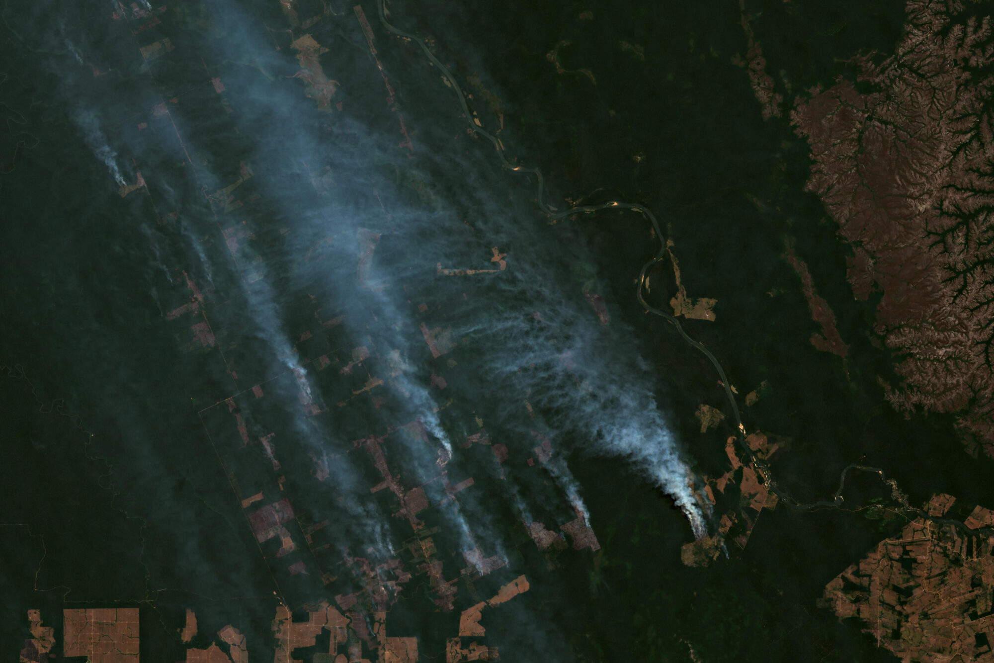 Desmatamento e queimadas estão associadas à expansão do agronegócio na Amazônia