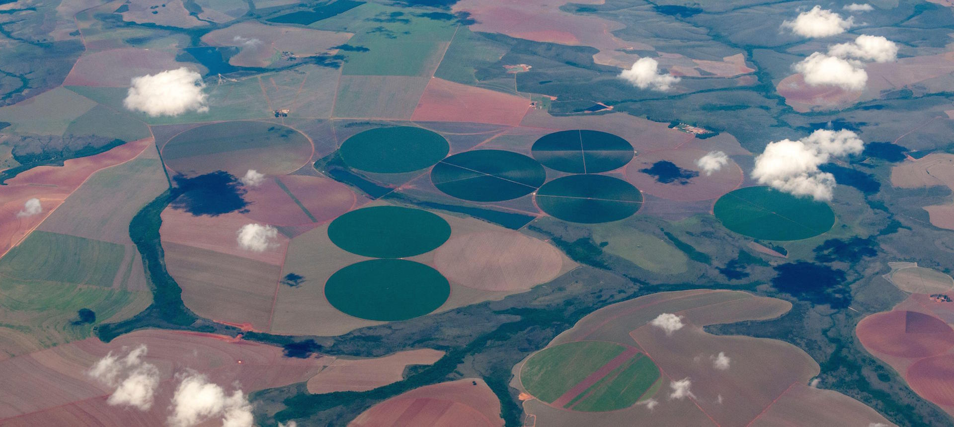 Aerial view of soybean plantations in the Cerrado savannah of Brazil.