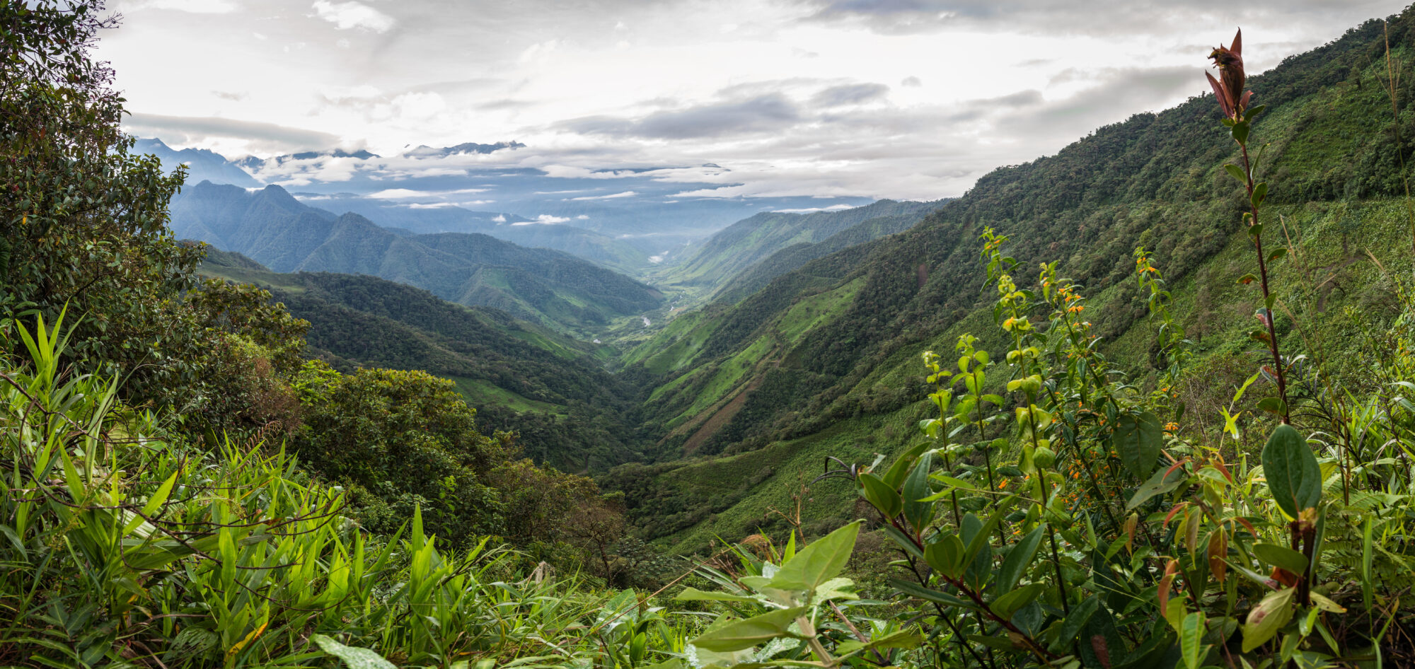 Colinas de los Andes en Colombia