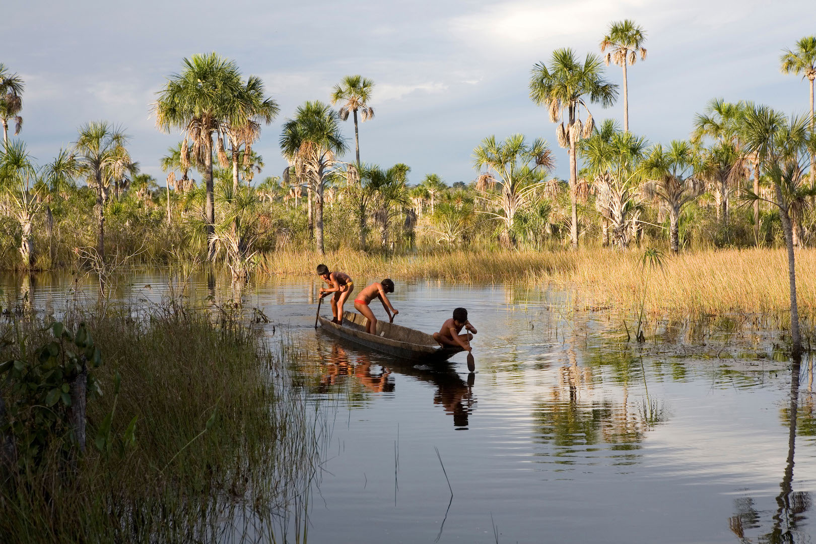 <p>Los pueblos del Xingu dicen que la actividad agrícola más allá de las fronteras de su territorio ha afectado a las poblaciones de peces (imagen: Alamy)</p> <div id="gtx-trans" style="position: absolute; left: -653px; top: -13.7812px;"> <div class="gtx-trans-icon"></div> </div>