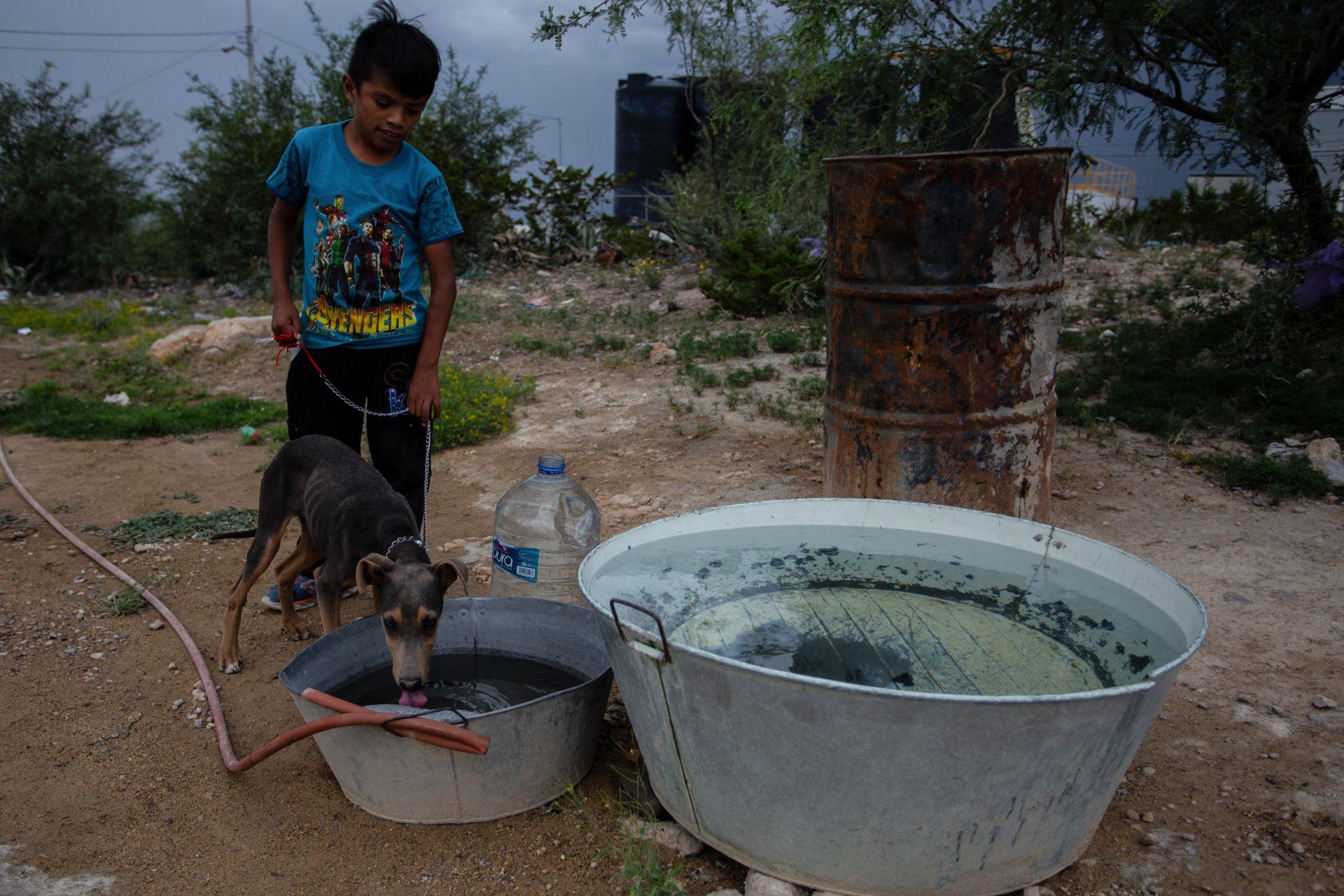 En Zacatecas, un niño mira a un perro tomar agua