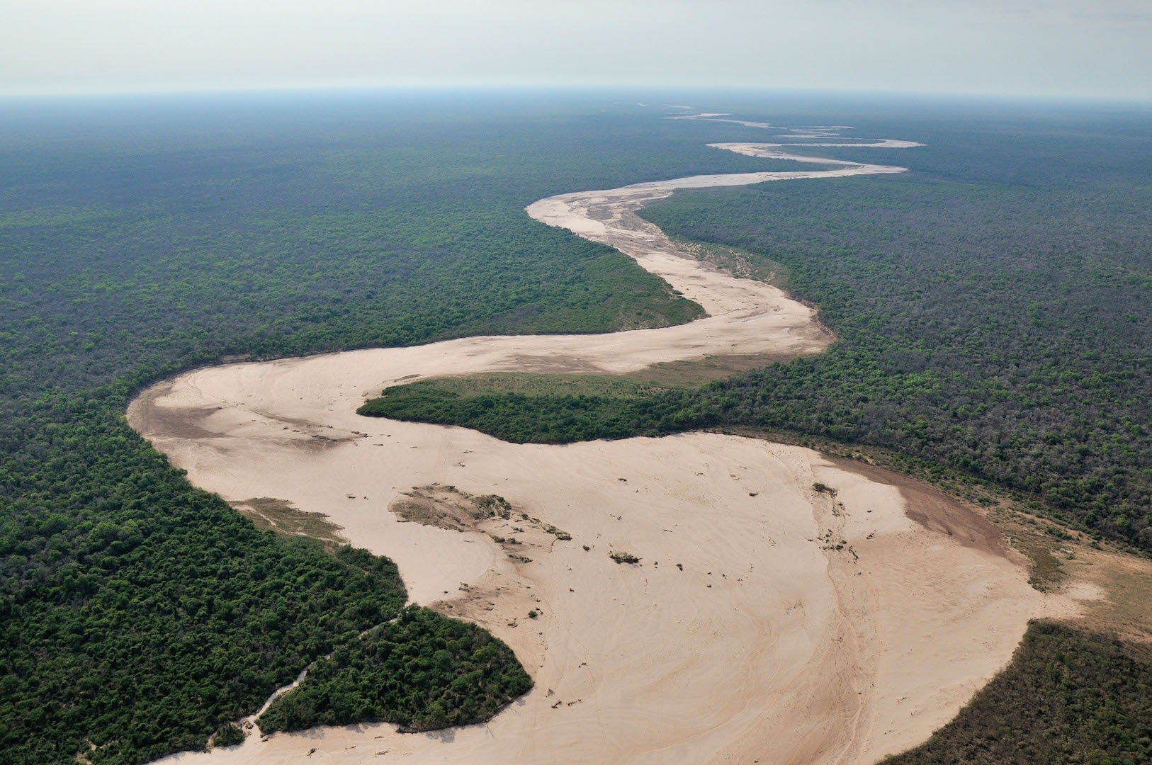 lecho seco de un río en el bioma del Gran Chaco, en la provincia de Salta, al norte de Argentina