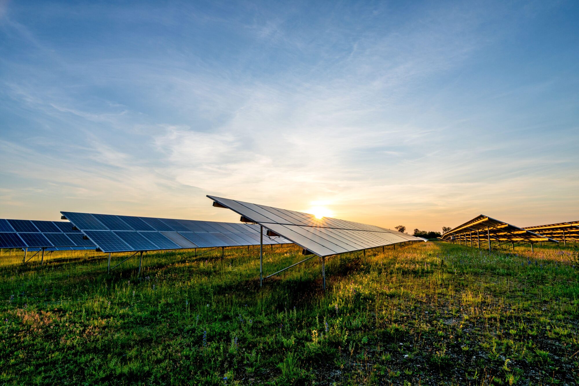 <p>Instalação de energia solar avança no campo em meio à crise hídrica (Björn Wylezich / Alamy)</p>