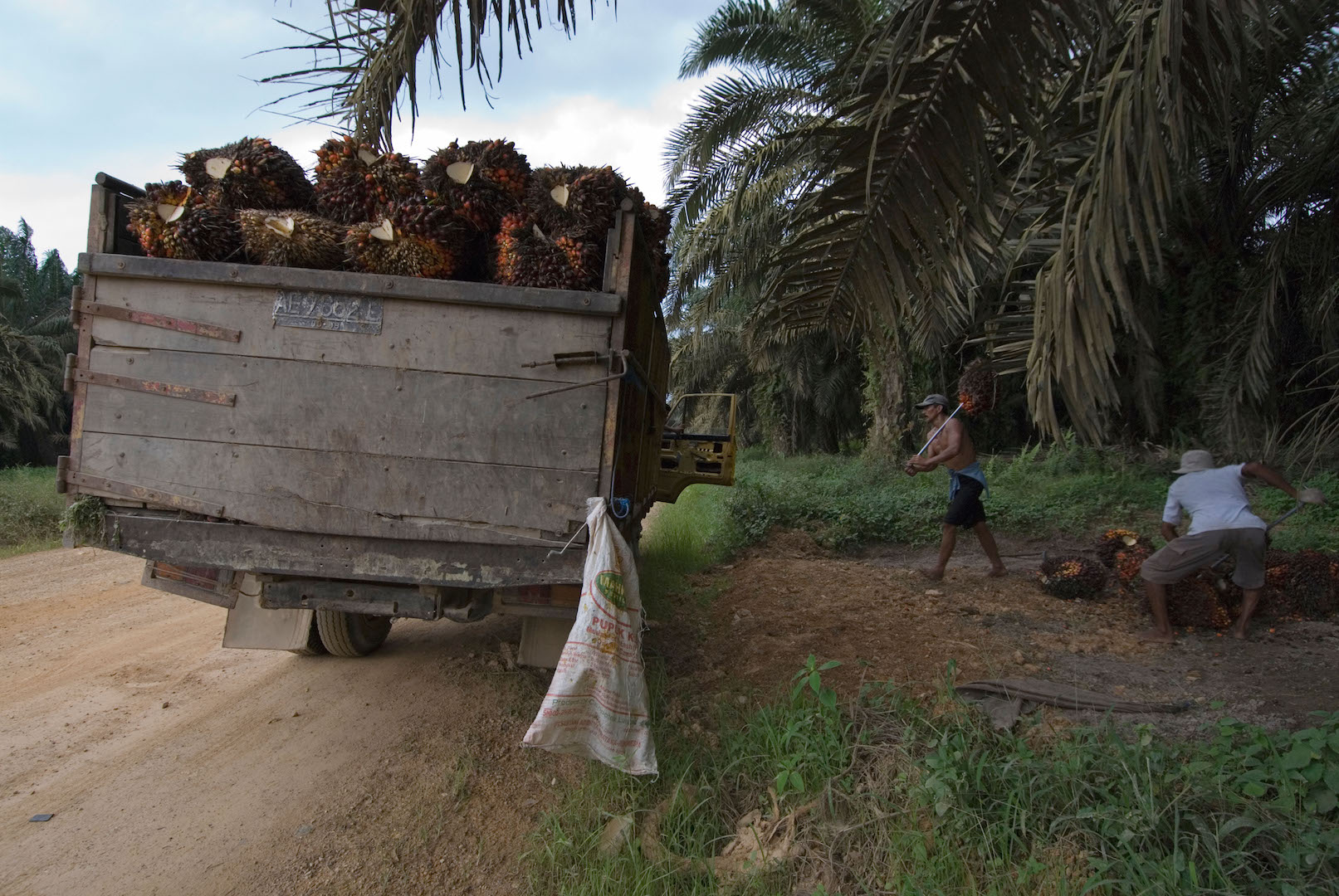 Trabalhadores envolvidos com a cadeia de produção de óleo de palma abastecendo o caminhão com a commodity
