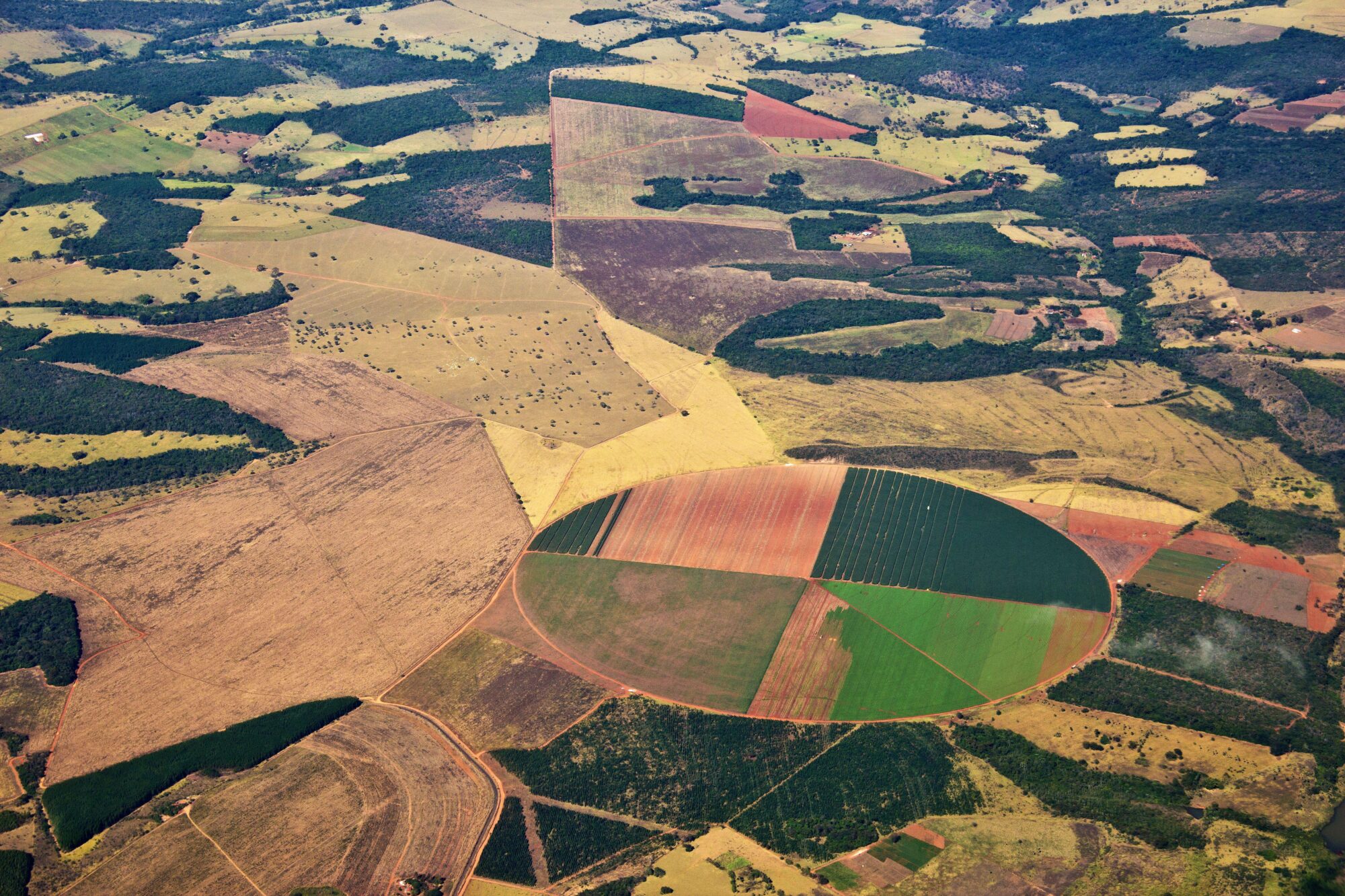 Vista aérea de campos con distintos cultivos