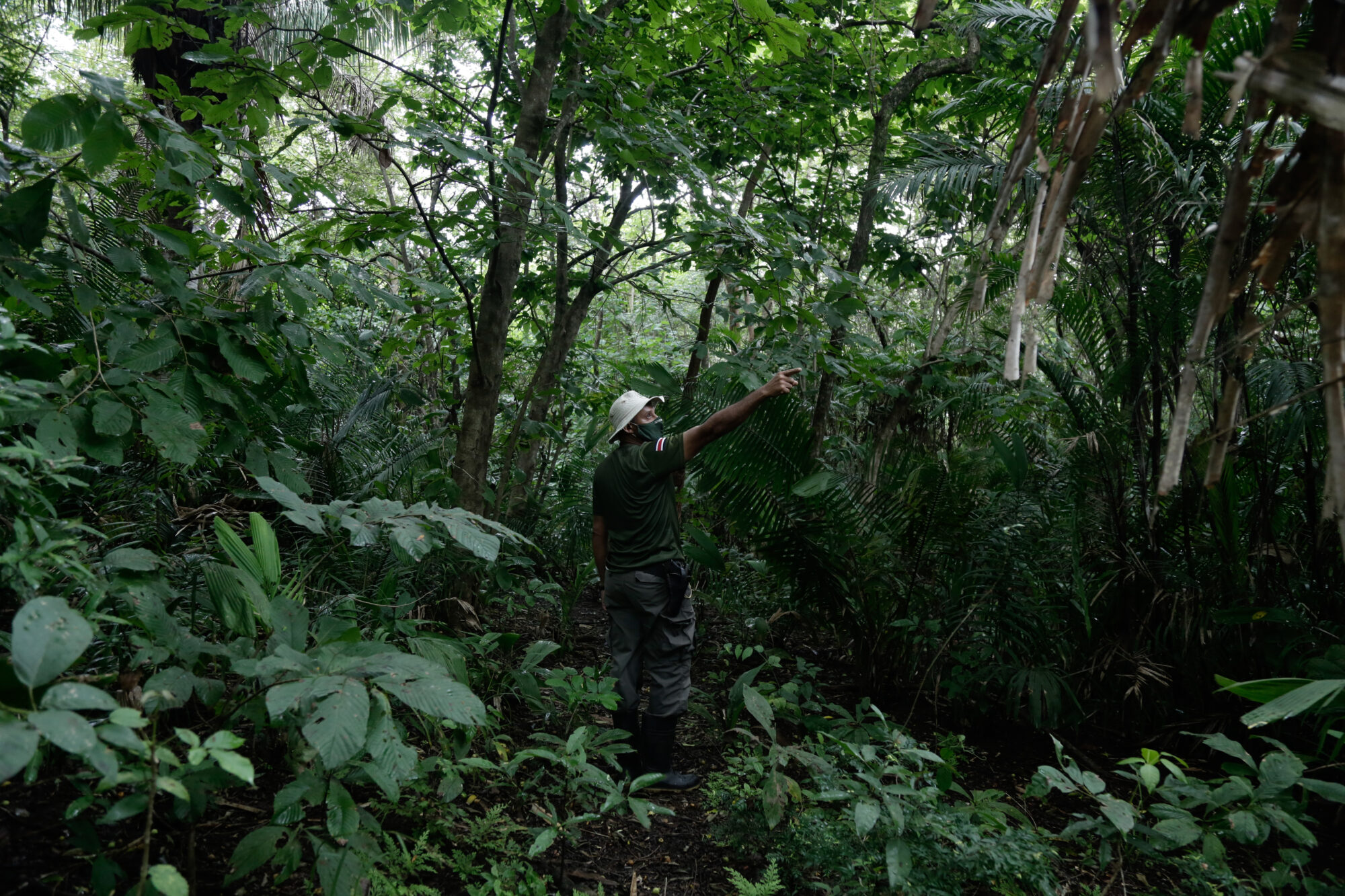 Park ranger in a forest in Costa Rica