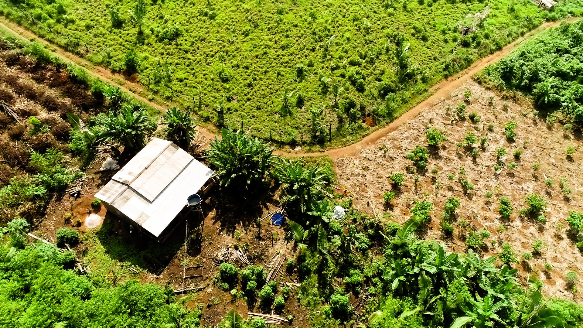 Vista do alto de casa e plantação em Apuí. Com PSA, terras podem ser melhor aproveitadas e preservação da floresta pode ser mais sustentável