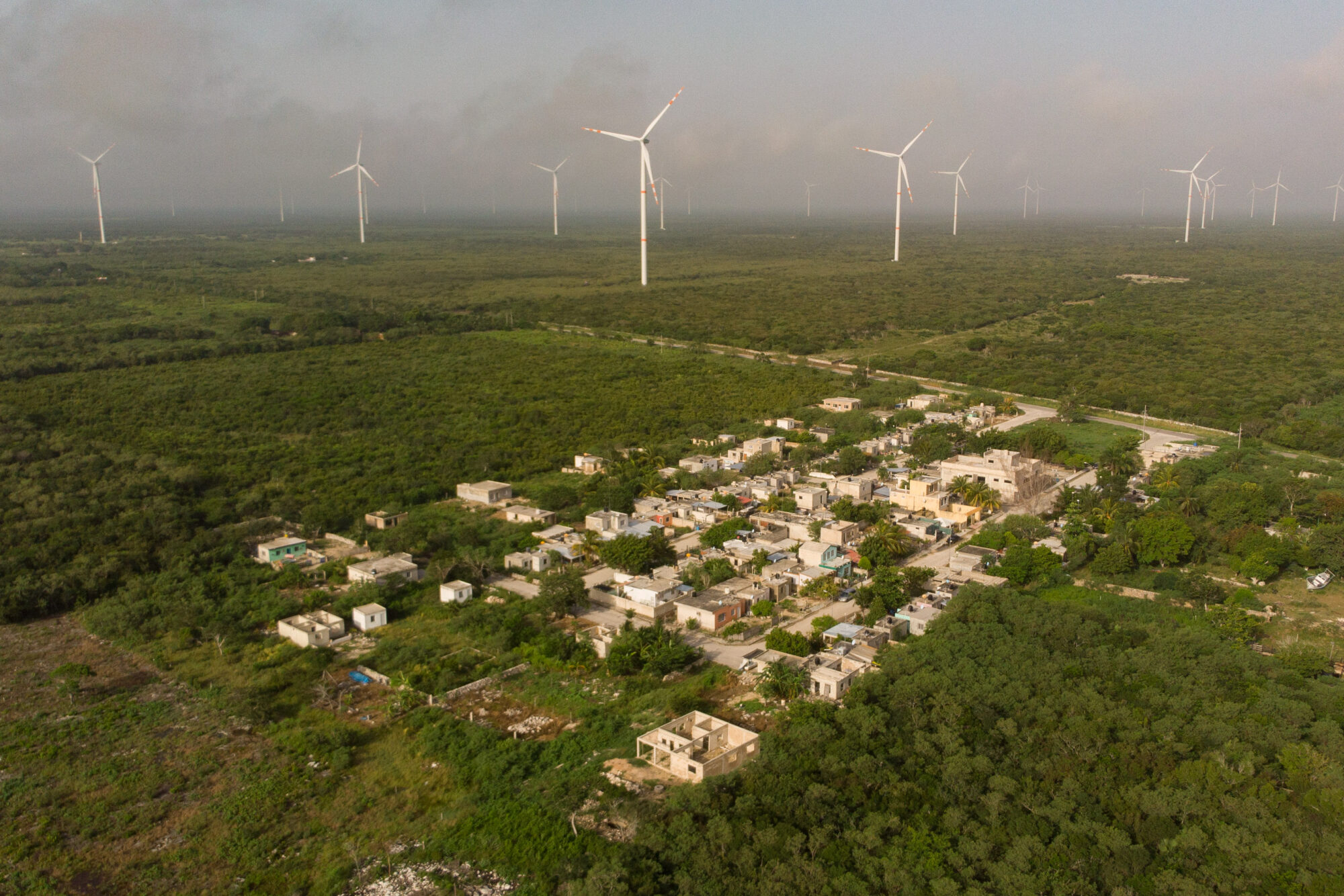 <p>Residents in the Flamingos settlement say the Dzilam de Brazo wind farm does not benefit their community (Image: Cuauhtémoc Moreno)</p>