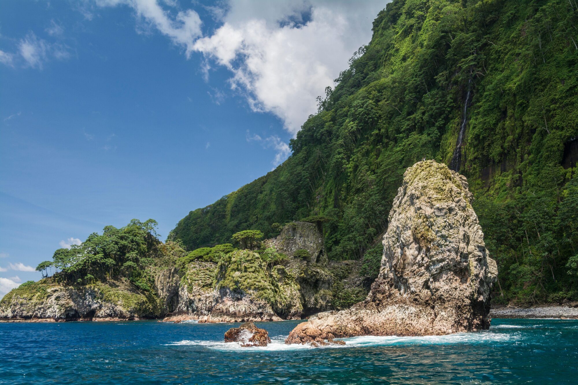 <p>A área marinha protegida (AMP) ao redor do Parque Nacional da Ilha Cocos na Costa Rica foi expandida em 2021, enquanto a nação anunciou planos na COP26 para conectar seus MPAs com os da Colômbia, Equador e Panamá, aumentando a proteção de um dos bolsões de biodiversidade mais ricos do mundo (Imagem: Nick Hawkins / Alamy)</p>