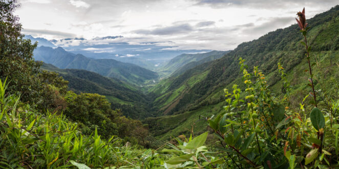 Vista de los andes colombianos