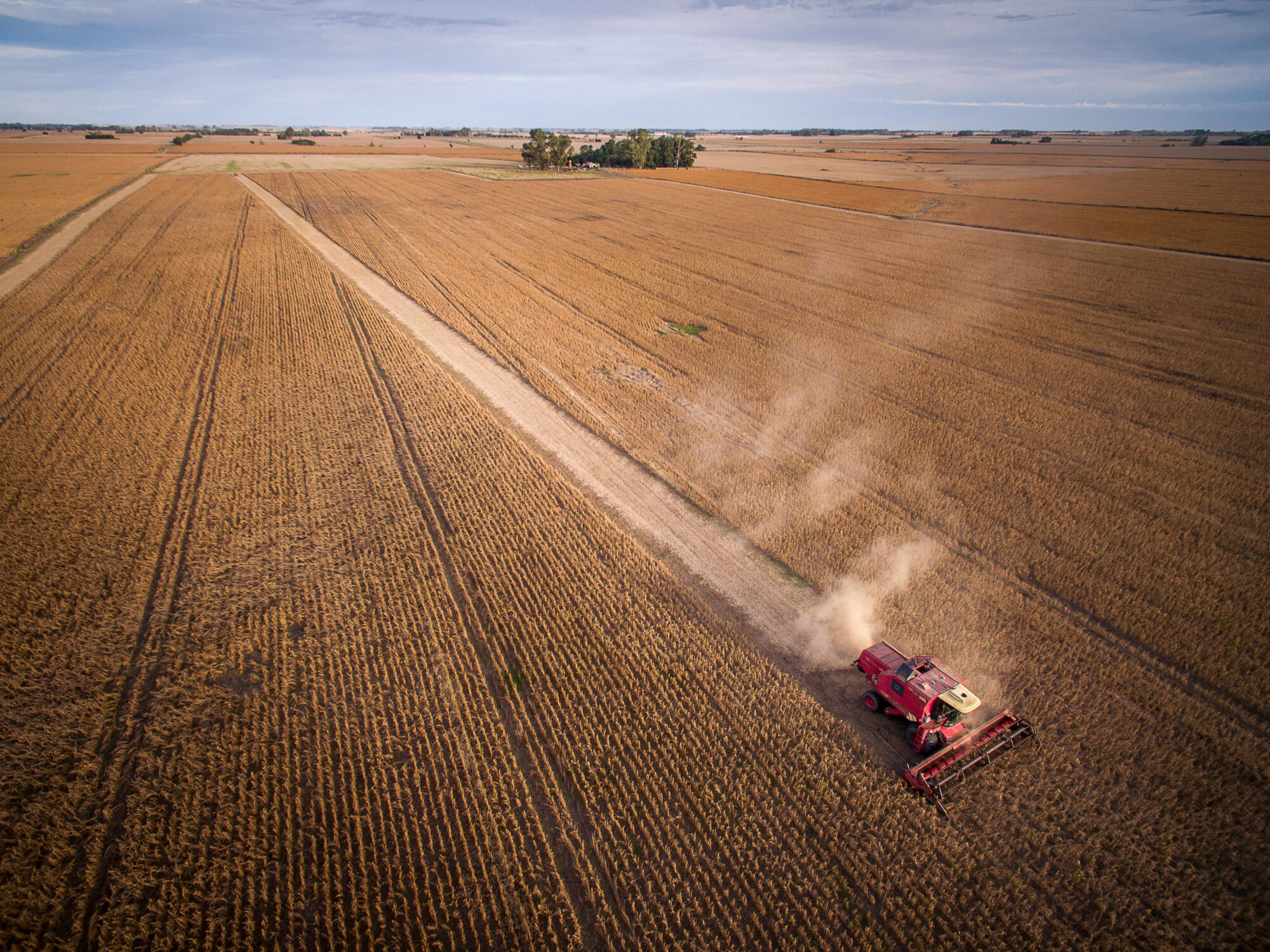 <p>Corn harvest in Buenos Aires province, Argentina. Blockchain technology can bring more transparency and traceability to these crops through tokenisation. Image: Harvest time / Alamy</p>