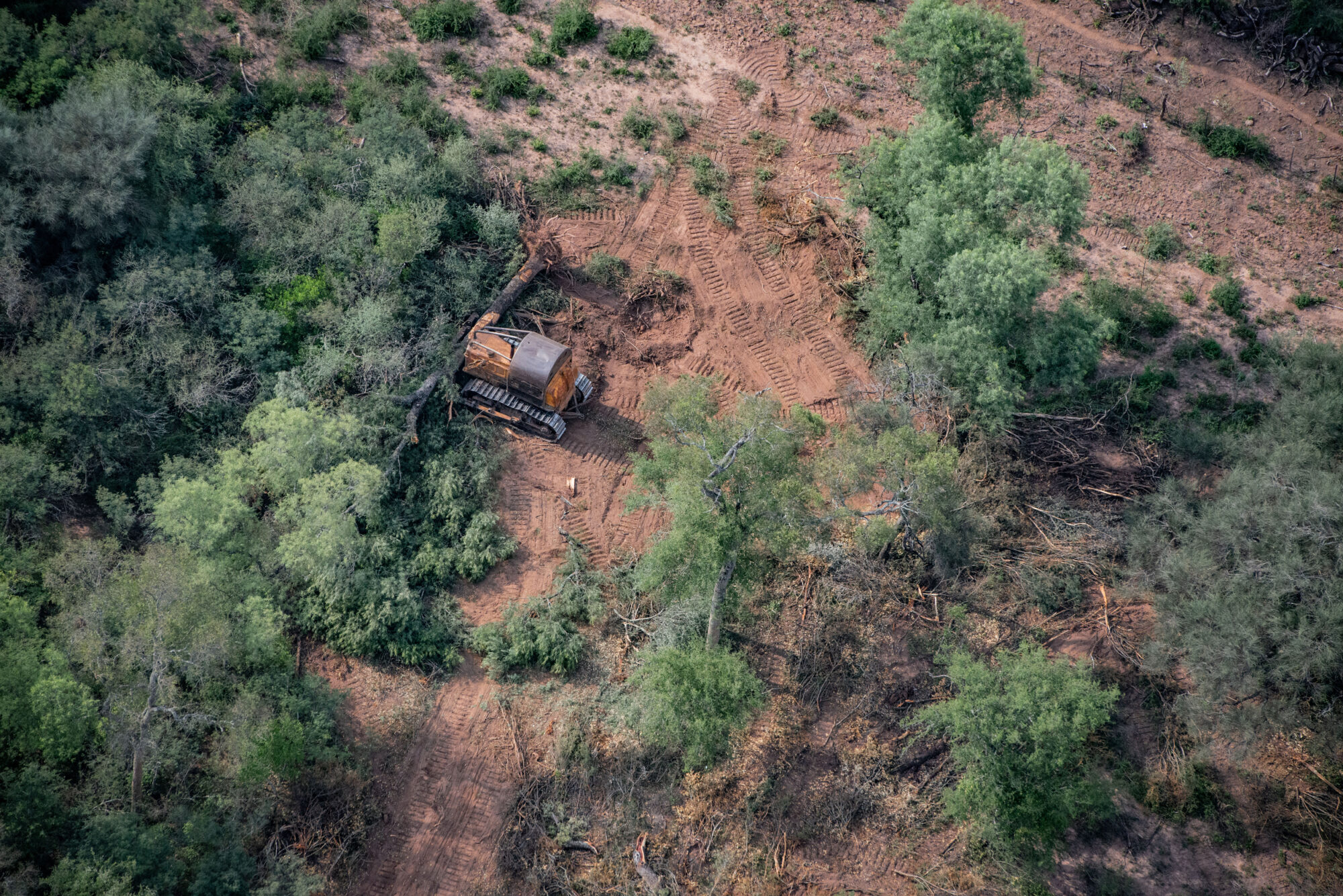 aerial view of a bulldozer deforesting in the Gran Chaco, in Chaco, Argentina.