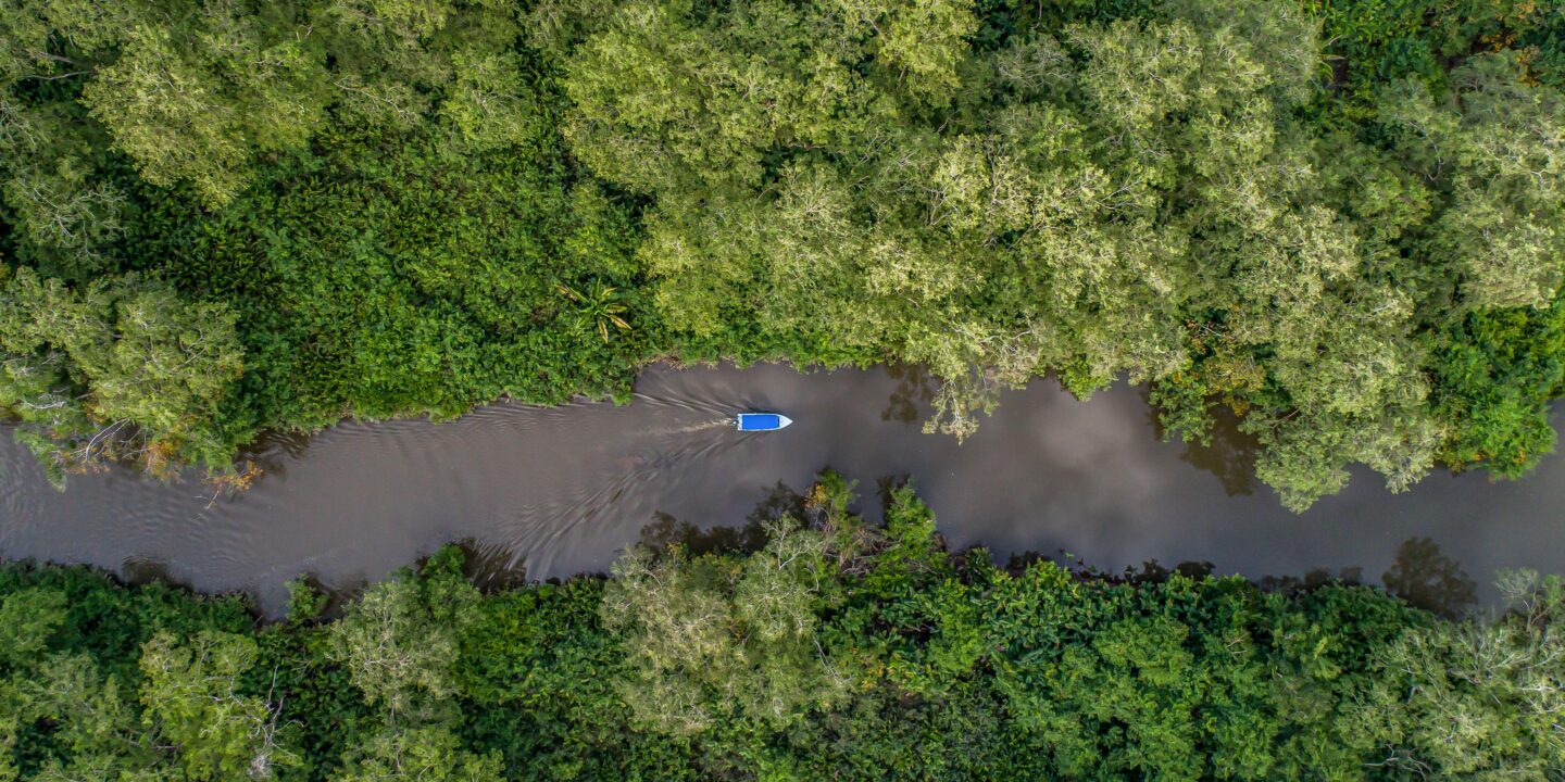 vista aérea de una embarcación en un río entre medio de vegetación 