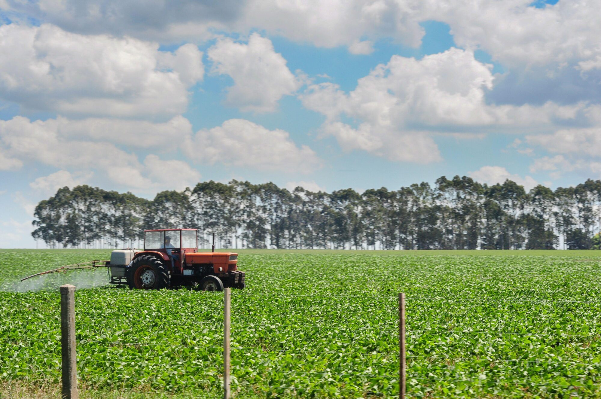 Un tractor fumiga una plantación de soja en Uruguay.