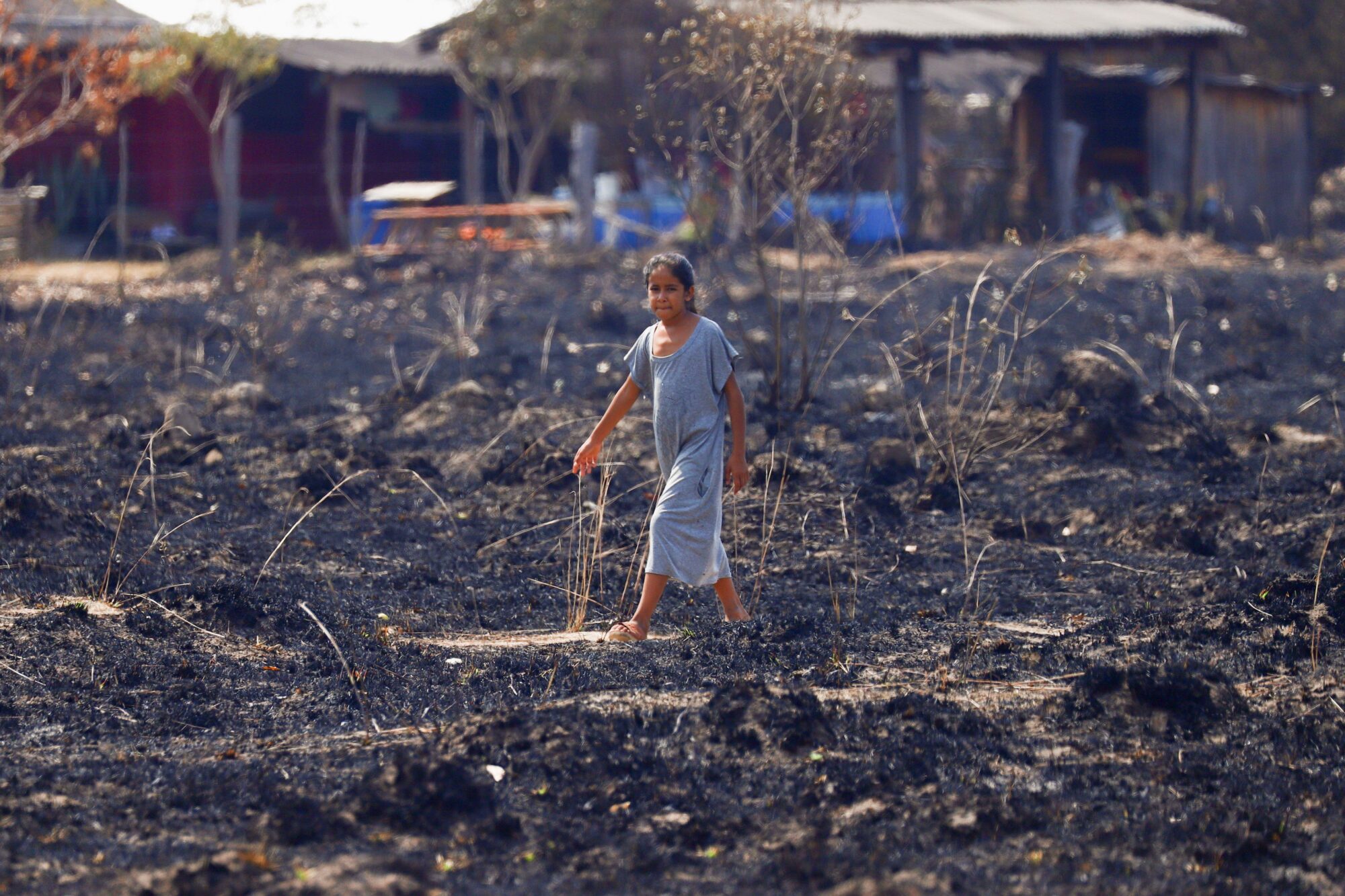 Uma menina caminha por uma área devastada por incêndios florestais