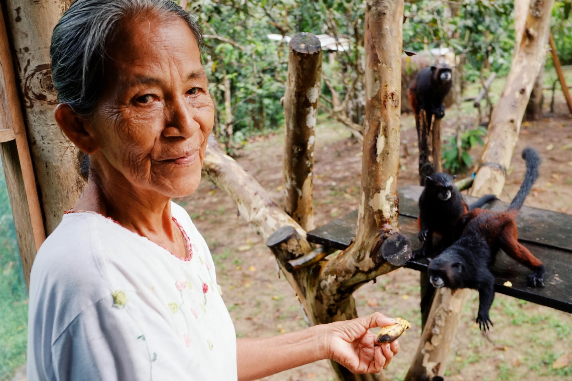 Um membro da tribo indígena Ticuna na Amazônia colombiana alimenta um macaco com bananas