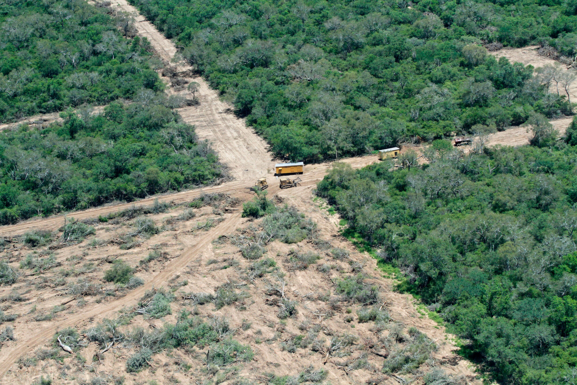 <p>Deforestación en el Gran Chaco, cerca de Mariscal Estigarribia, Paraguay. Alrededor de una cuarta parte de la superficie del Gran Chaco ha sido deforestada desde 1985. La producción de soja y la ganadería son los principales impulsores de la pérdida de bosques. (Imagen: Michael Edwards / Alamy)</p>