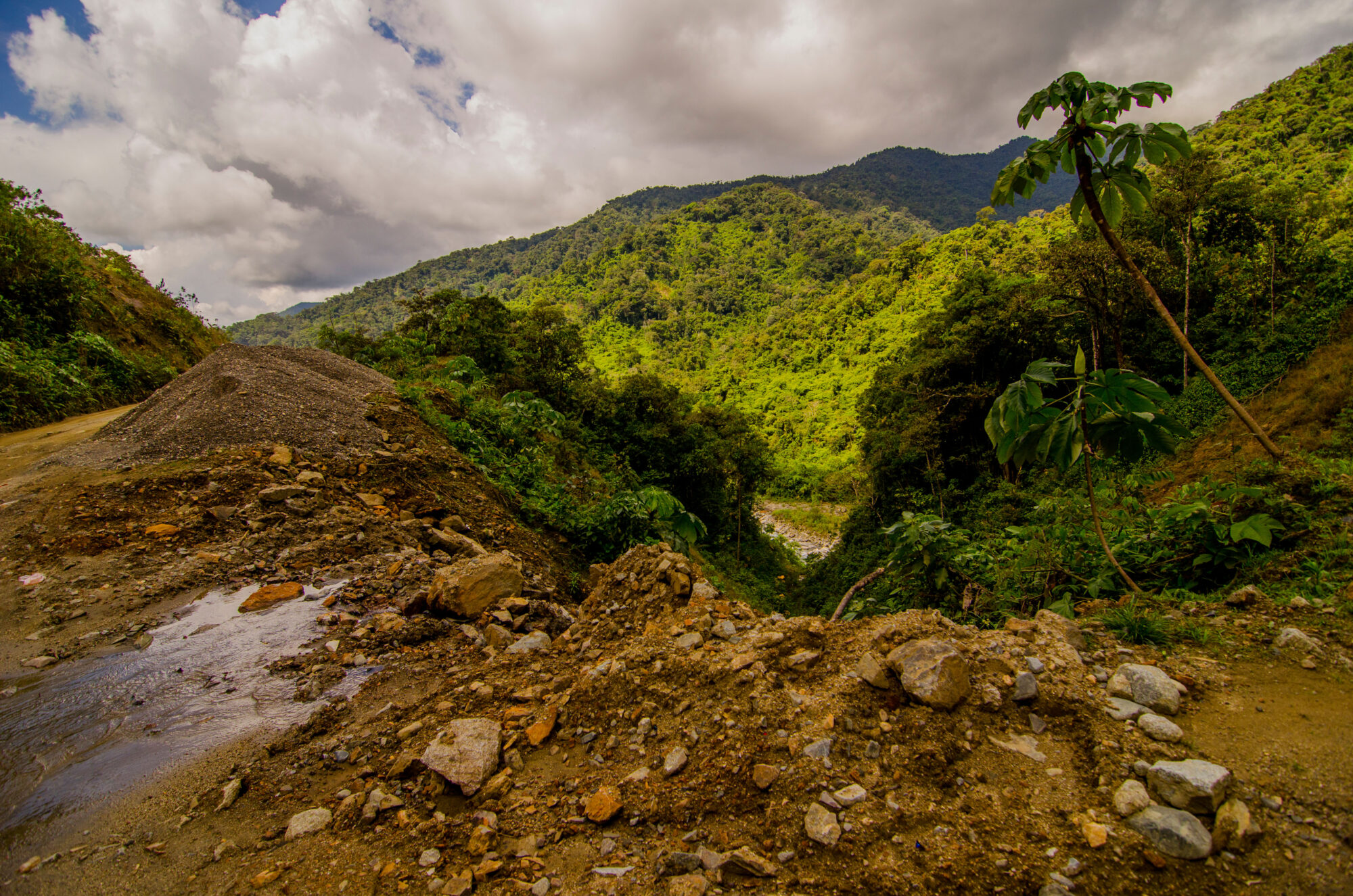 <p>A road in the Manu National Park in Madre de Dios, Peru. The new Cusco–Madre de Dios Road Corridor will cross the park’s buffer zone, but there are concerns over impacts on indigenous groups in voluntary isolation in this corner of the Amazon (Image: Amazon-Images / Alamy)</p>