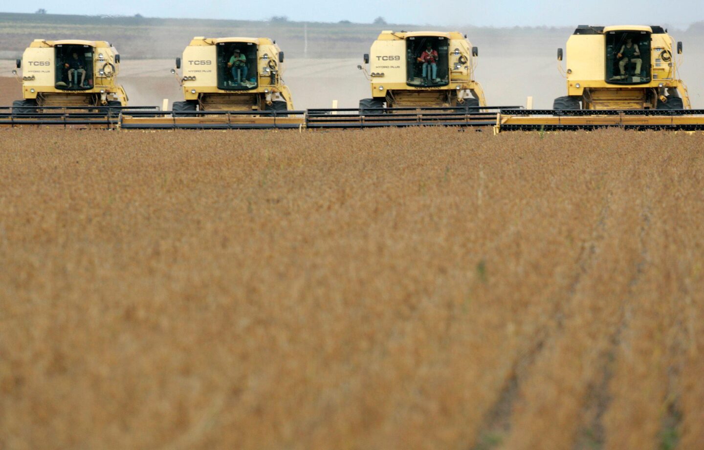 Cuatro cosechadoras de soja en un campo
