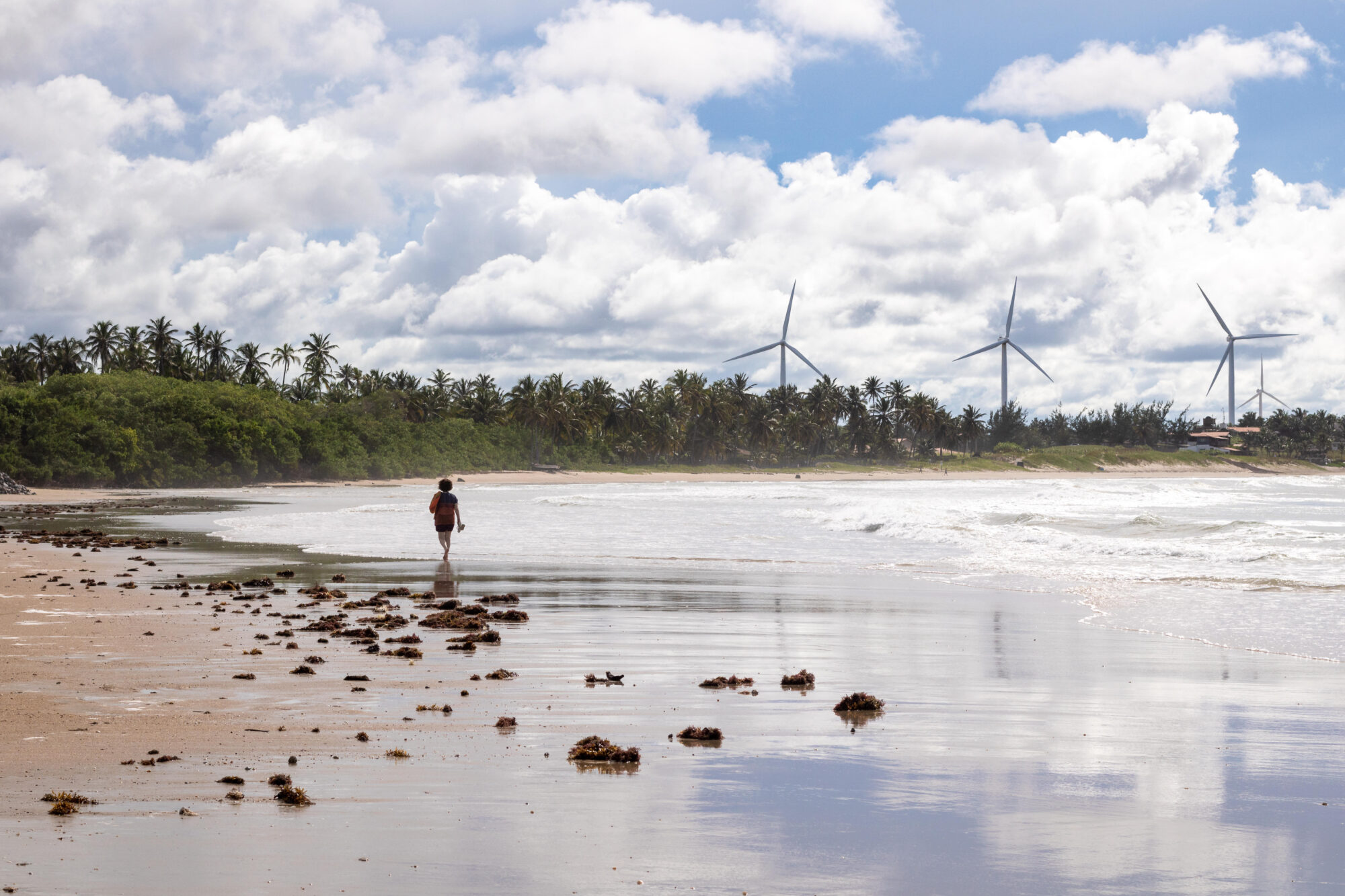 Uma pessoa caminhando em frente ao mar, com moinhos de vento ao fundo.