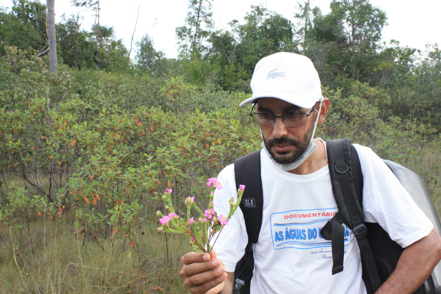 Un hombre sostiene una planta en su mano en el Cerrado