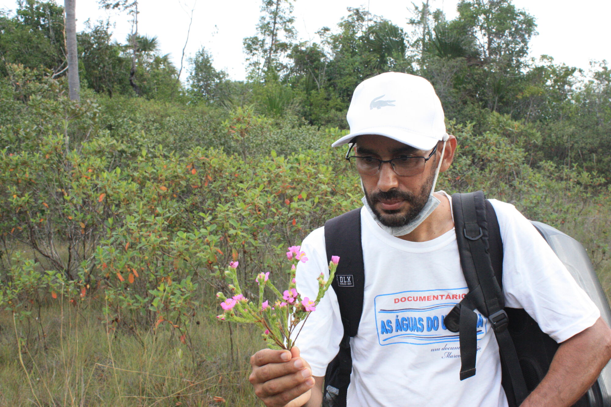 Um homem segura uma planta em sua mão no Cerrado.